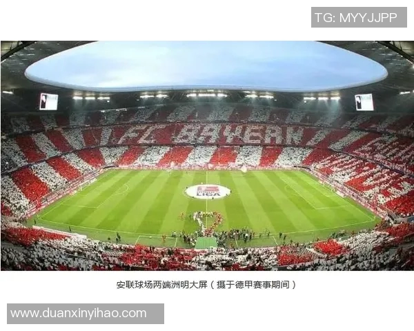 匈牙利与威尔士激战正酣谁将赢得这场精彩对决