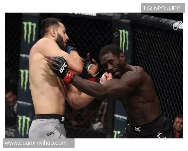 佩蒂斯与巴博萨激战在即谁能在这场巅峰对决中脱颖而出