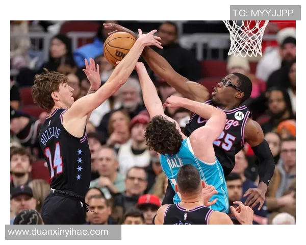 公牛与黄蜂激战全场精彩回放11月24日比赛精彩瞬间回顾